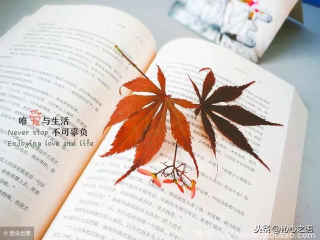 心理学｜对不起，你错得很离谱！