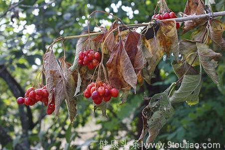 体内湿气怎么排出来？养生专家教你吃3种食物，排出一身轻松