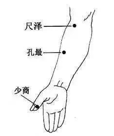 不懂五行 谈何养生？