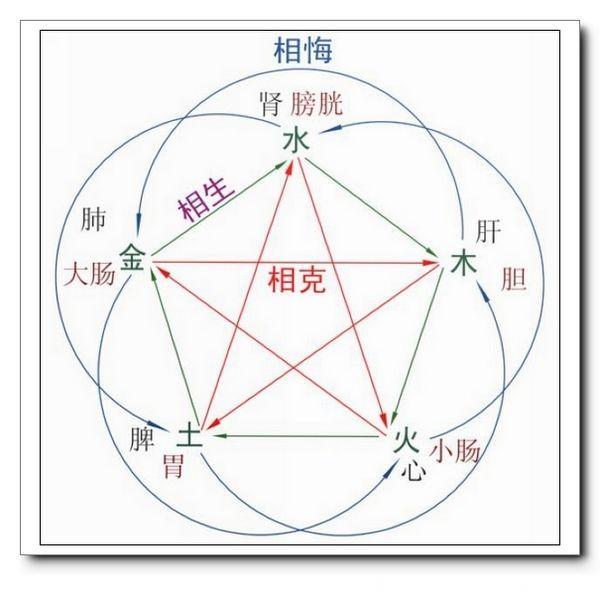 不懂五行 谈何养生？