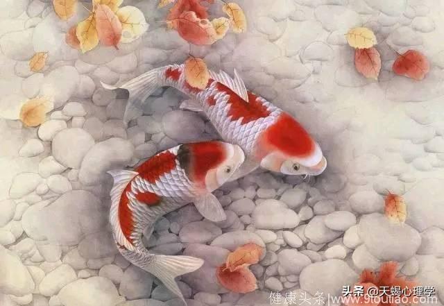 心理测试：凭直觉选一张锦鲤运势图，测你在事业上是否成功？