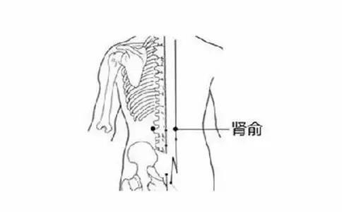 秘方再公开丨名老中医给自己家人的调理秘方！