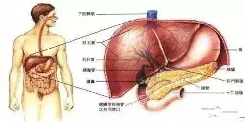 为了十年后不得癌症，这五件事要马上做！太重要了！