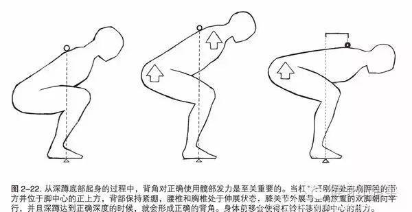 健身增肌，力量训练必看的书：《力量训练基础》《力量训练计划》