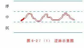 最全的入门脉诊知识，附详细图解（建议收藏）