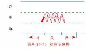 最全的入门脉诊知识，附详细图解（建议收藏）