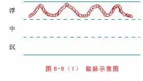 最全的入门脉诊知识，附详细图解（建议收藏）