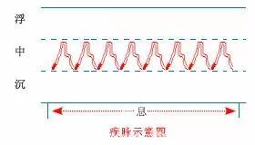 最全的入门脉诊知识，附详细图解（建议收藏）