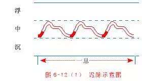 最全的入门脉诊知识，附详细图解（建议收藏）