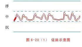 最全的入门脉诊知识，附详细图解（建议收藏）