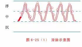 最全的入门脉诊知识，附详细图解（建议收藏）