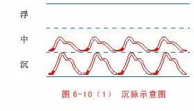 最全的入门脉诊知识，附详细图解（建议收藏）