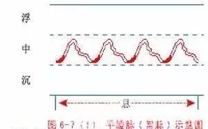 最全的入门脉诊知识，附详细图解（建议收藏）