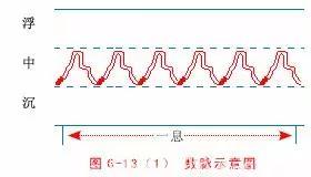 最全的入门脉诊知识，附详细图解（建议收藏）