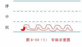 最全的入门脉诊知识，附详细图解（建议收藏）