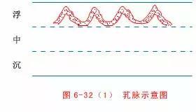 最全的入门脉诊知识，附详细图解（建议收藏）