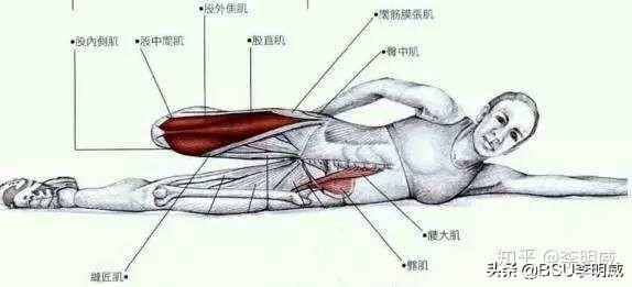 运动之后如何放松肌肉，才不得肌肉腿？专家终于讲出实话！