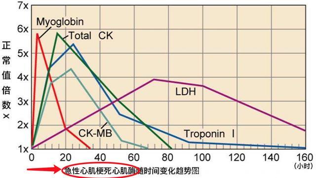 肝病入门：转氨酶的医学含义！