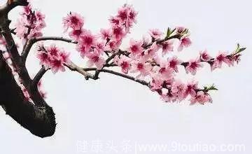 春节中医养生三字经：乐起来、睡足觉、少吃酸