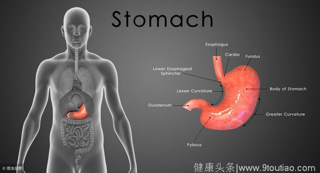 胃癌的癌前疾病有4种，如何处理才能阻断癌变的发生？