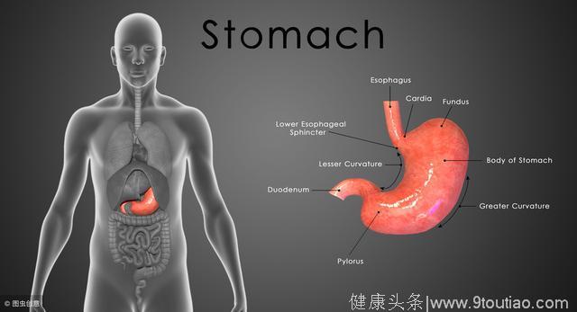 胃癌患者最关心的问题三：胃癌手术哪种手术方式好？