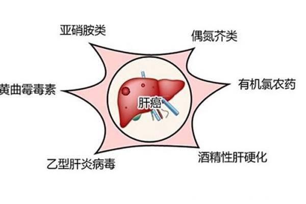 肝癌发生前的4个信号，很多人不重视!医生：护肝这4种食物很关键