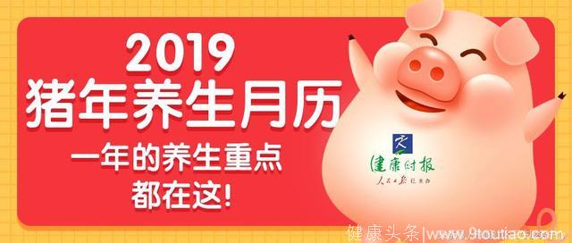 2019猪年养生月历，一年的养生重点都在这！全年健康无病痛！