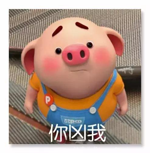心理测试：选一只最幸福的猪，测一测你的2019新年运势！