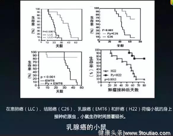 “疟原虫可成为抗癌生力军！”打“一针血”可治疗癌症？