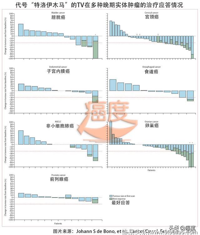 新年新药：针对6种癌症有效！抗癌药物中的“特洛伊木马”