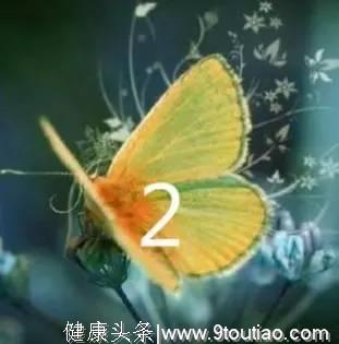 心理测试：4只蝴蝶，哪只最漂亮?测出你今年会谈几个对象？超准