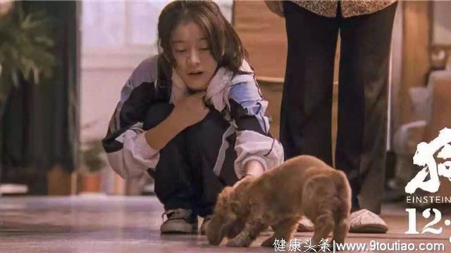 《狗十三》中国式家庭教育，摧毁了多少孩子