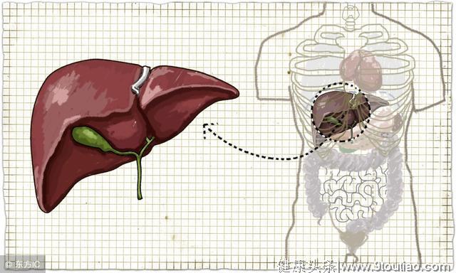 肝炎离肝癌有多远？