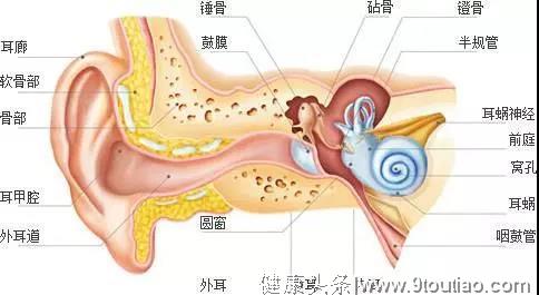 11亿年轻人面临听力受损！继“脱发”潮后，年轻人开始“聋”了？