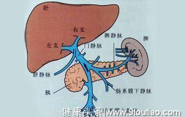 什么是心源性肝硬化？