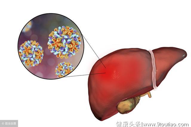 教你如何看自己肝功能好坏