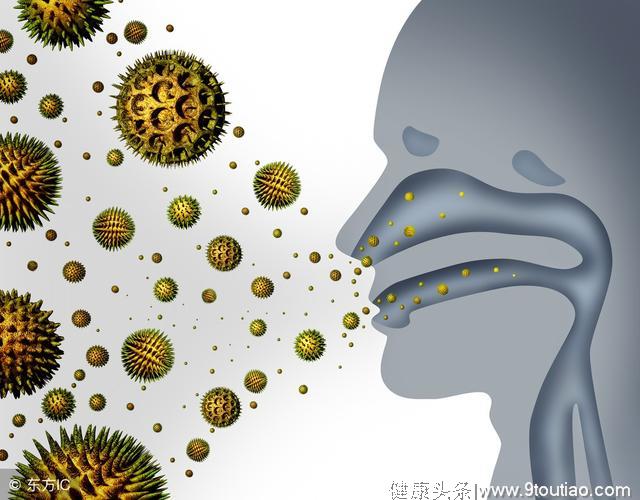 中医养生：过敏性鼻炎患者该如何预防发病？