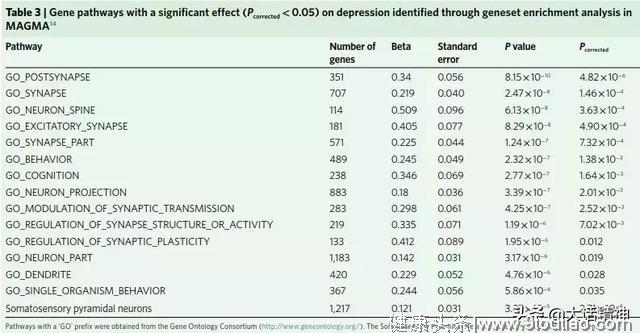抑郁症起源是什么？102个独立遗传变异告诉你
