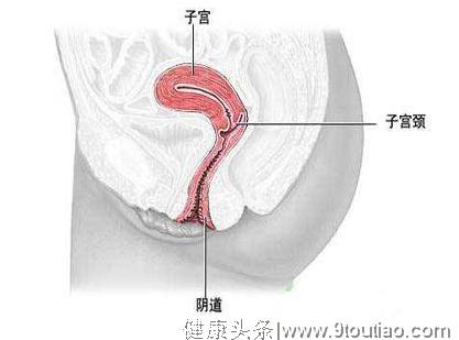 妇科医生告诉你，宫颈癌与宫颈糜烂的区别及如何预防