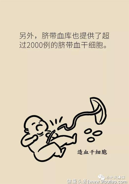 别怕！白血病也是可以被治愈的