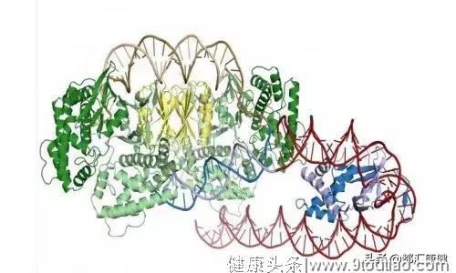 致死性家族失眠有多可怕？完全无法睡觉最后因“困”而死！