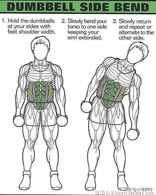 经典腹肌训练，8个动作，专练搓衣板腹肌，给你完美腹肌与马甲线