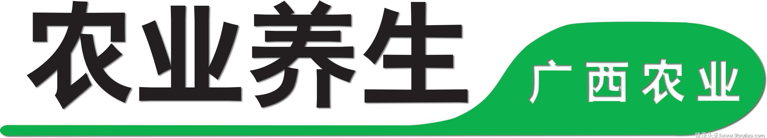 要科学！养生根据体质来，什么体质吃什么喝什么，适合才是最好的