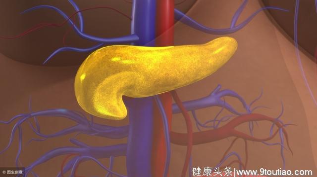 最新发现：胰岛A细胞能改变功能分泌胰岛素，为糖尿病带来新希望