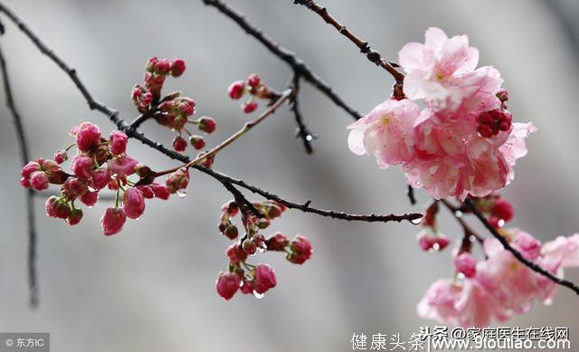 雨水节气如何养生？中医提醒：养生有重点，忌吃这些食物