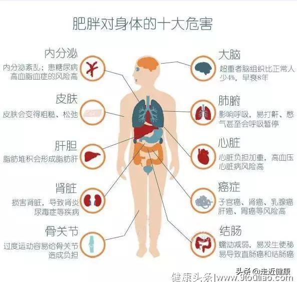 86岁中医：1张图告诉你肥胖危害！减肥这4种方法最有效！