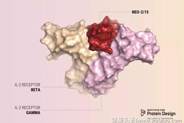 科学家尝试从头开始设计抗癌蛋白