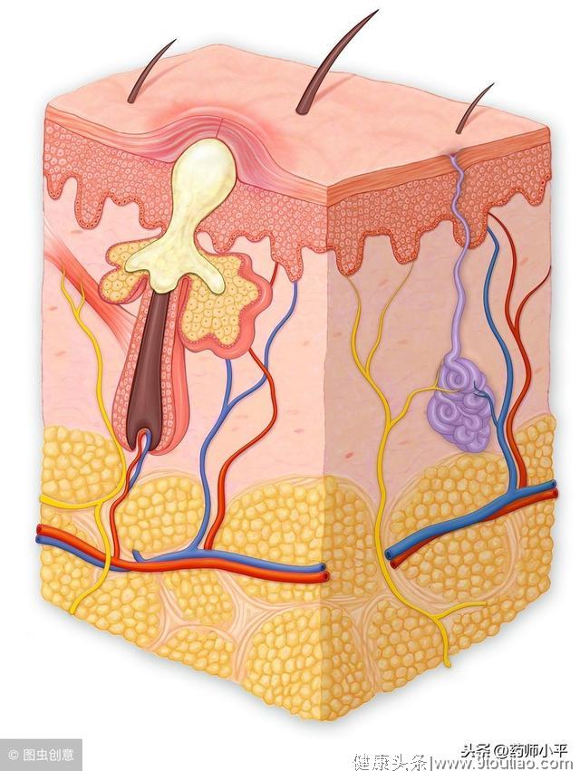 辟谣：反复长痘是体内毒素太多吗？无需治疗？医生告诉你真相