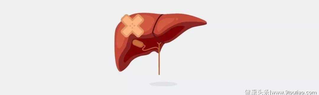 胆汁淤积性肝病的治疗靶点及药物应用前景