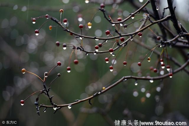 雨水时节怎么养生？医生忠告：注意四原则，试试这六个健康食谱